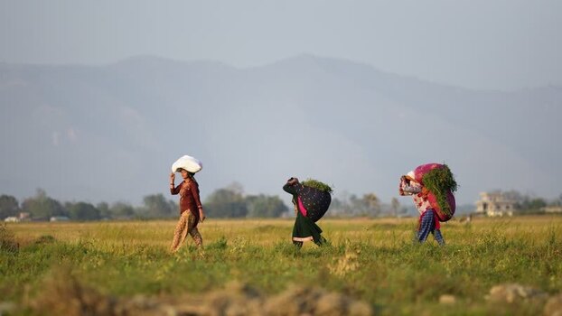 View of women carrying heavy loads through rural fields Nepal. View of women carrying heavy loads through rural fields Nepal.