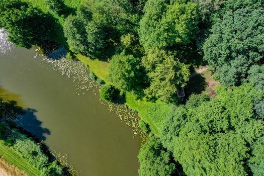 Aerial view of the Regnitzaltwasser river surrounded by lush green trees and floating aquatic plants in Forchheim Bayern Germany. Aerial view of the Regnitzaltwasser river surrounded by lush green trees and floating aquatic plants in Forchheim Bayern Germany.