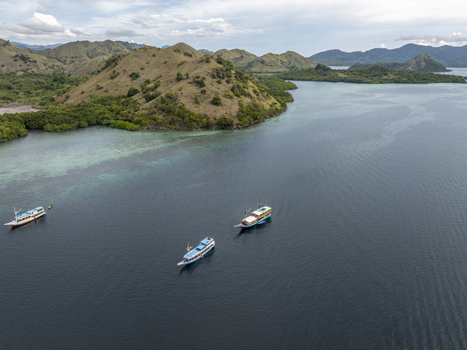 Aerial view of Komodo Island with traditional wooden boats sailing on the clear blue water surrounded by lush green hills and mangroves in Komodo East Nusa Tenggara Indonesia. Aerial view of Komodo Island with traditional wooden boats sailing on the clear blue water surrounded by lush green hills and mangroves in Komodo East Nusa Tenggara Indonesia.
