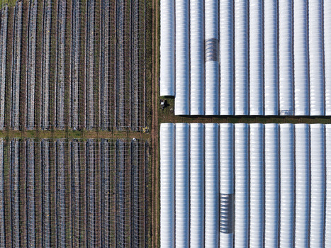 Aerial view of contrasting dark and light greenhouses standing side by side in a patterned agricultural landscape Stafford England United Kingdom. Aerial view of contrasting dark and light greenhouses standing side by side in a patterned agricultural landscape Stafford England United Kingdom.