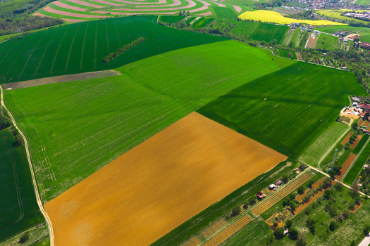 Aerial view of agricultural fields with vibrant green and brown soil patterns rolling hills and rural landscape in Brno South Moravian Region Czechia.