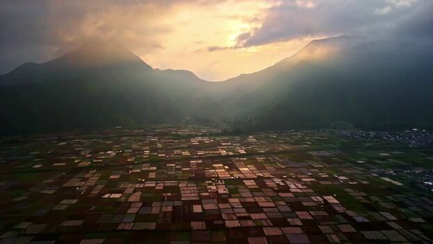 Aerial view of rice paddies at sunset in Bali Indonesia.