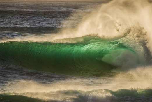View of a powerful translucent green wave breaking on the North Shore with sea spray catching the golden sunlight in Haleiwa Hawaii United States.