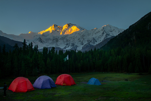 View of Nanga Parbat peak illuminated by golden sunrise light behind a campsite with colorful tents and a pine forest in Fairy Meadow Gilgit Pakistan. View of Nanga Parbat peak illuminated by golden sunrise light behind a campsite with colorful tents and a pine forest in Fairy Meadow Gilgit Pakistan.