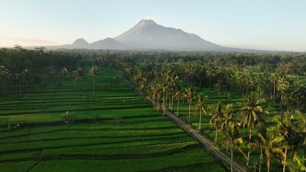 Aerial view of Mount Merapi volcano in Indonesia.