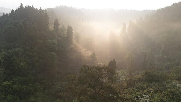 Aerial view of lush tropical forest valley with morning mist and golden sun rays breaking through the dense canopy Sukabumi West Java Indonesia. Aerial view of lush tropical forest valley with morning mist and golden sun rays breaking through the dense canopy Sukabumi West Java Indonesia.