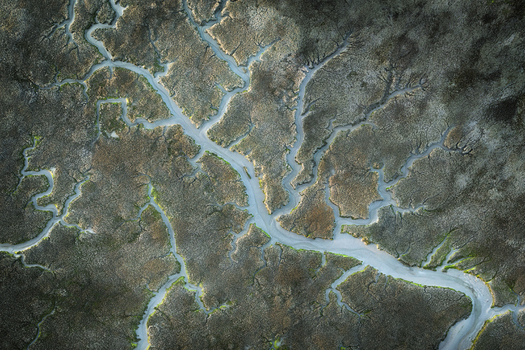 Aerial view of intricate branching water channels and textured mudflats in a salt marsh at Portmarnock County Dublin Ireland. Aerial view of intricate branching water channels and textured mudflats in a salt marsh at Portmarnock County Dublin Ireland.