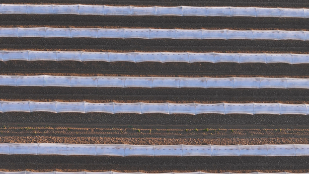 Aerial view of polytunnel fruit growing with rows of covered arch structures protecting crops in the Po Valley Fiorenzuola d Arda Emilia Romagna Italy. Aerial view of polytunnel fruit growing with rows of covered arch structures protecting crops in the Po Valley Fiorenzuola d Arda Emilia Romagna Italy.