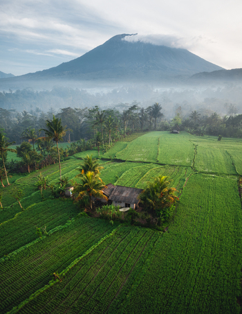 Aerial view of Mount Agung rising above lush green rice terraces and a small house surrounded by palm trees in the misty valley of Sidemen Bali Indonesia. Aerial view of Mount Agung rising above lush green rice terraces and a small house surrounded by palm trees in the misty valley of Sidemen Bali Indonesia.