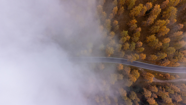Aerial view of a winding road cutting through a dense forest of golden autumn larch trees partially shrouded in thick morning fog near Lake Antorno Auronzo di Cadore Veneto Italy. Aerial view of a winding road cutting through a dense forest of golden autumn larch trees partially shrouded in thick morning fog near Lake Antorno Auronzo di Cadore Veneto Italy.