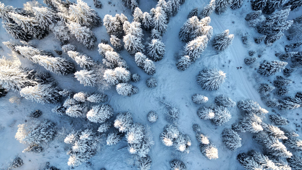 Aerial view of the snow covered pine forest at Col de la Faucille with two people walking along a path in the winter landscape of Gex Auvergne Rhone Alpes France. Aerial view of the snow covered pine forest at Col de la Faucille with two people walking along a path in the winter landscape of Gex Auvergne Rhone Alpes France.