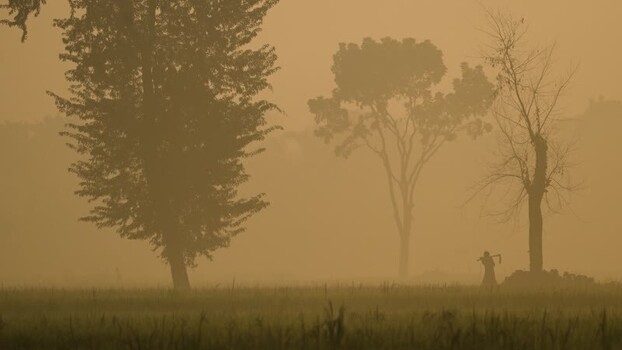 View of a farmer in a misty field at sunrise Bangladesh.