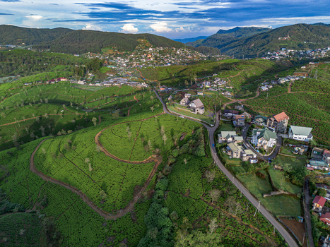 Aerial view of the lush green tea plantations and rolling hills of Nuwara Eliya with winding roads and colonial style buildings in Nuwara Eliya Central Province Sri Lanka. Aerial view of the lush green tea plantations and rolling hills of Nuwara Eliya with winding roads and colonial style buildings in Nuwara Eliya Central Province Sri Lanka.
