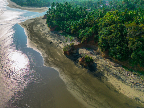 Aerial view of the coastline in Bali featuring lush palm trees sandy beach and rocky cliffs meeting the ocean in Bali Bali Indonesia. Aerial view of the coastline in Bali featuring lush palm trees sandy beach and rocky cliffs meeting the ocean in Bali Bali Indonesia.