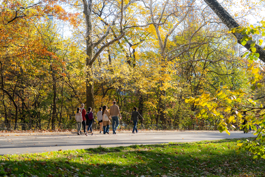 Manhattan United States 08 November 2025 View of a group of people walking along a path in Central Park surrounded by trees in vibrant autumn colors. Manhattan United States 08 November 2025 View of a group of people walking along a path in Central Park surrounded by trees in vibrant autumn colors.