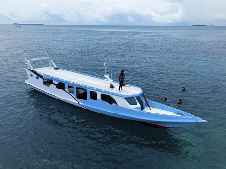 Aerial view of a white and blue boat on the turquoise sea with people snorkeling near Cemara Kecil Karimunjawa Central Java Indonesia.