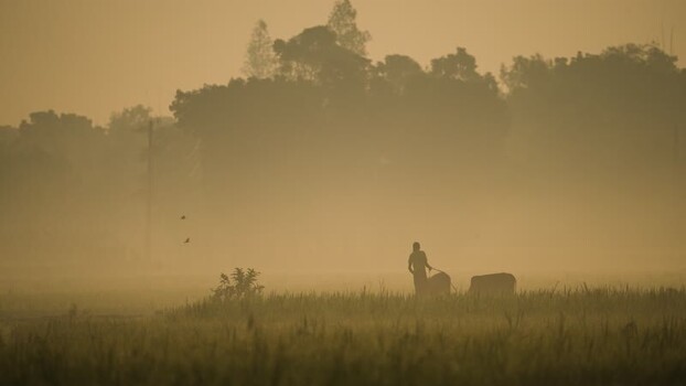View of a silhouette of a farmer plowing a misty field Bangladesh.