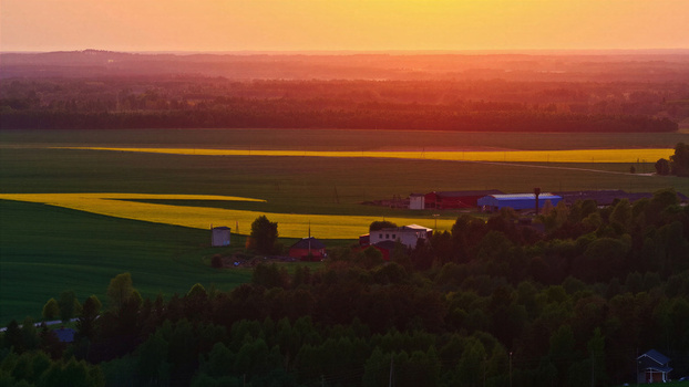 Aerial view of rural landscape with vibrant yellow fields lush green trees and small farm buildings under a warm golden sunset in Latvia. Aerial view of rural landscape with vibrant yellow fields lush green trees and small farm buildings under a warm golden sunset in Latvia.