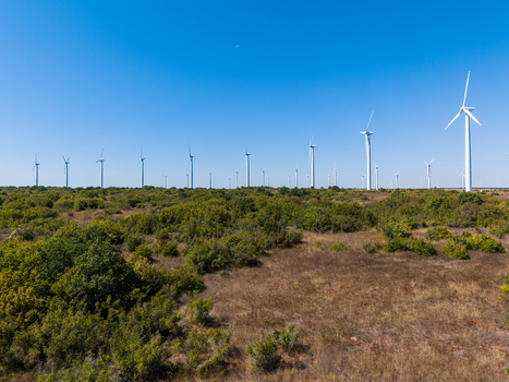 Aerial view of the wind farm at Bolata with numerous wind turbines rising above the green bushes and dry grass in the rural landscape of Dobrich Province Bulgaria.