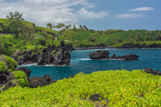 View of the black sand beach at Waianapanapa State Park with volcanic rock formations lush tropical greenery and blue ocean waves in Maui County Hawaii United States.
