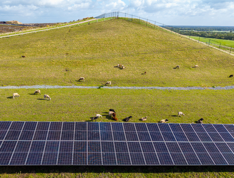 Aerial view of solar panels installed at the base of a grassy hill where sheep are grazing under a bright sky in Wijster Drenthe Netherlands.