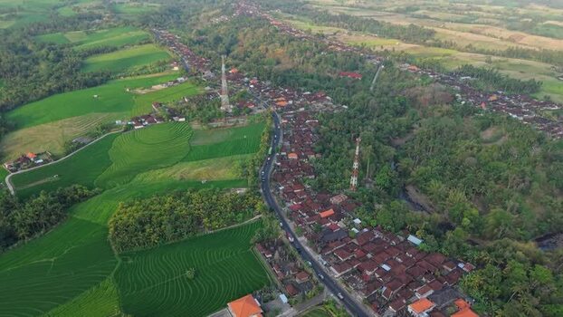 Aerial view of Soka Rice Field Views in Selemadeg Indonesia.