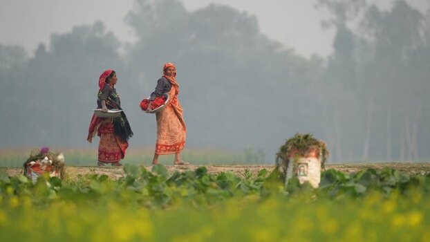 View of two women walking through rural fields in Bogura Bangladesh.