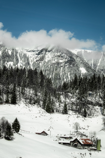 View of snow laden evergreens cascade down the mountainside embracing quaint dwellings nestled in the valley under a blue sky Train from Lucerne to Interlaken Switzerland. View of snow laden evergreens cascade down the mountainside embracing quaint dwellings nestled in the valley under a blue sky Train from Lucerne to Interlaken Switzerland.