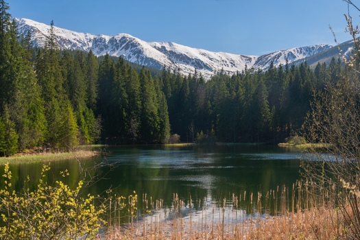 View of Vrbicke pleso lake surrounded by a dense pine forest and snow capped mountain peaks under a clear blue sky in Demanovska Dolina Zilina Region Slovakia. View of Vrbicke pleso lake surrounded by a dense pine forest and snow capped mountain peaks under a clear blue sky in Demanovska Dolina Zilina Region Slovakia.
