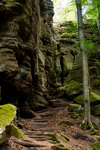 View of the mossy sandstone rock formations and wooden hiking steps along the Mullerthal Trail in Berdorf Echternach Luxembourg. View of the mossy sandstone rock formations and wooden hiking steps along the Mullerthal Trail in Berdorf Echternach Luxembourg.