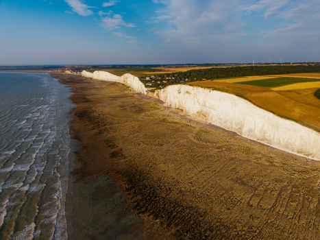 Aerial view of the Beach of the Bois de Cise featuring dramatic white chalk cliffs golden agricultural fields and the tide receding along the coastline in Ault Hauts de France France.