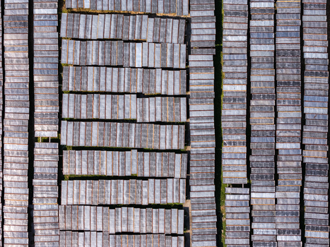 Aerial view of glass noodles on wooden drying racks in a grid pattern in Polanharjo Central Java Indonesia.