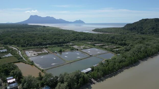 Aerial view of aquaculture ponds in Sarawak Malaysia. Aerial view of aquaculture ponds in Sarawak Malaysia.