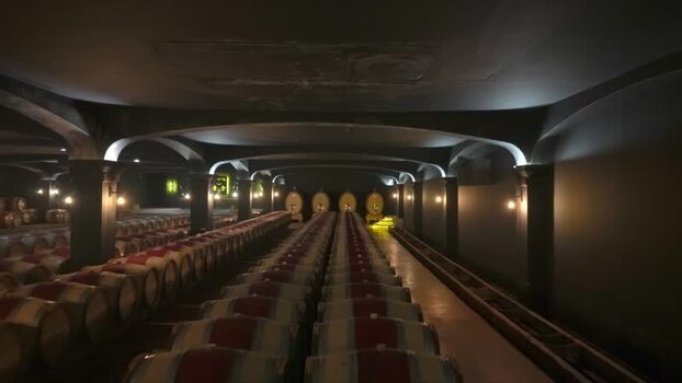 View of a dimly lit wine cellar with barrels France.