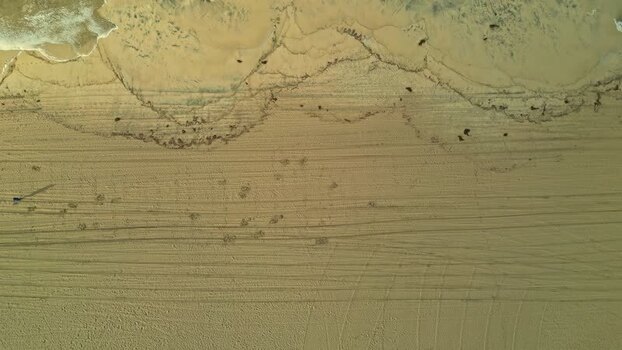 Aerial view of sandy beach in Los Angeles United States.