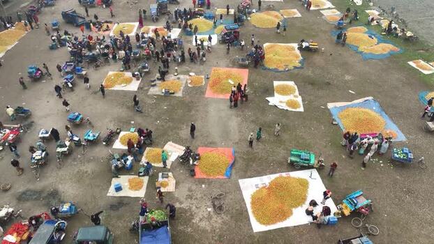 Aerial view of a busy outdoor market with fruit piles in Bangladesh.