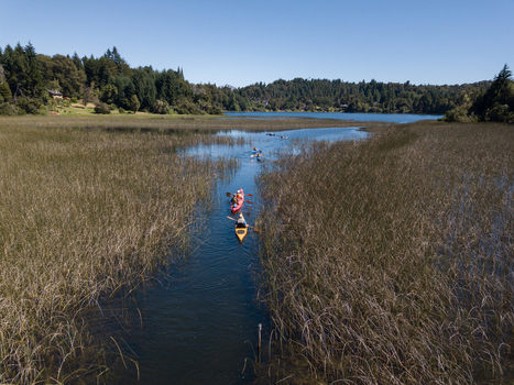 Aerial view of people in colorful kayaks paddling through a narrow channel of reeds on Nahuel Huapi Lake near lush forests in San Carlos de Bariloche Rio Negro Argentina. Aerial view of people in colorful kayaks paddling through a narrow channel of reeds on Nahuel Huapi Lake near lush forests in San Carlos de Bariloche Rio Negro Argentina.