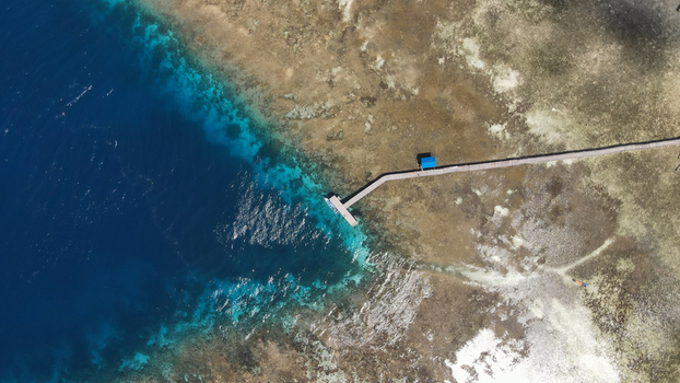 Aerial view of a wooden pier extending into the turquoise waters of a coral reef in Raja Ampat Southwest Papua Indonesia.