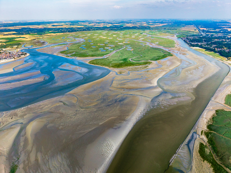 Aerial view of Baie de Somme with its vast tidal flats winding channels and lush green salt marshes in Saint Valery sur Somme Hauts de France France. Aerial view of Baie de Somme with its vast tidal flats winding channels and lush green salt marshes in Saint Valery sur Somme Hauts de France France.