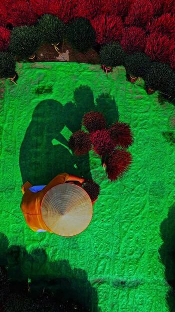 View of a person amidst colorful incense Vietnam.