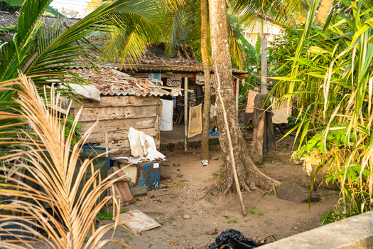View of a traditional wooden house surrounded by lush palm trees and laundry hanging in a yard in Galle Southern Province Sri Lanka.