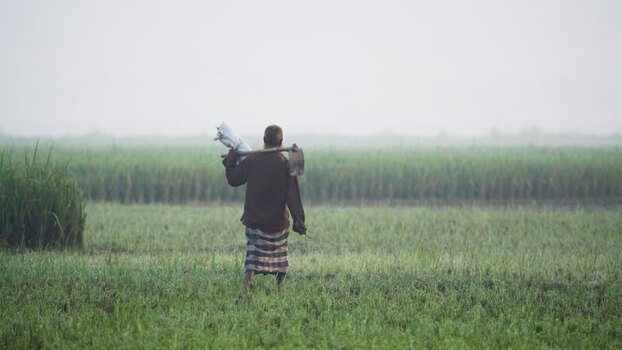 View of a farmer walking through misty fields in Bogura Bangladesh.