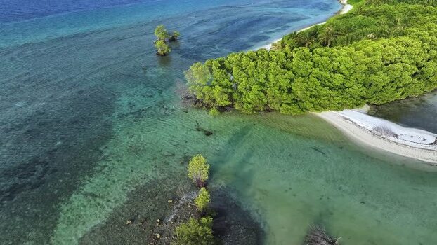 Aerial view of lush mangroves and turquoise waters in Goidhoo Maldives. Aerial view of lush mangroves and turquoise waters in Goidhoo Maldives.