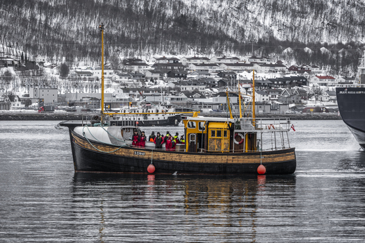 Tromso Norway 11 March 2026 View of a traditional wooden boat with people on deck navigating the cold waters of the harbor against a backdrop of snowy hills and coastal houses. Tromso Norway 11 March 2026 View of a traditional wooden boat with people on deck navigating the cold waters of the harbor against a backdrop of snowy hills and coastal houses.