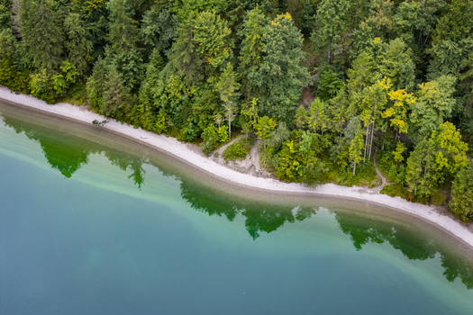 Aerial view of the shoreline meeting the turquoise waters bordered by lush green forest Plansee Tyrol Austria. Aerial view of the shoreline meeting the turquoise waters bordered by lush green forest Plansee Tyrol Austria.