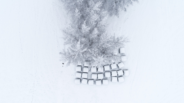 Aerial view of snow covered hay bales arranged in a field next to frost covered trees in winter LATVIA. Aerial view of snow covered hay bales arranged in a field next to frost covered trees in winter LATVIA.