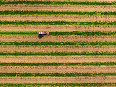Aerial view of a tractor working in a vineyard with green rows of vines and brown soil in Kyjov South Moravian Region Czechia.