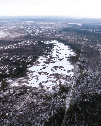 Aerial view of a frozen bog lake surrounded by snow covered forest and sparse vegetation in Babites pagasts Marupes novads Latvia. Aerial view of a frozen bog lake surrounded by snow covered forest and sparse vegetation in Babites pagasts Marupes novads Latvia.