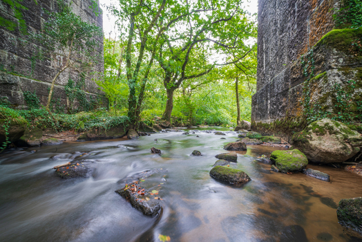 View of the stream flowing through the lush woodland of Luxulyan Valley framed by the stone pillars of the historic viaduct in Luxulyan Bodmin Cornwall United Kingdom. View of the stream flowing through the lush woodland of Luxulyan Valley framed by the stone pillars of the historic viaduct in Luxulyan Bodmin Cornwall United Kingdom.