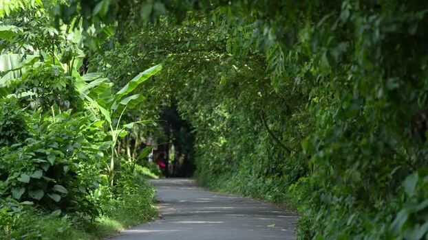 View of a narrow road through lush green trees in Bangladesh.